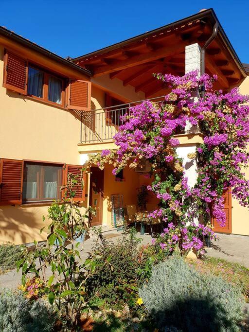 Apartman Uta Cocaletto * Rovinj